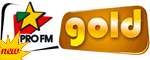 Radio Pro FM Gold