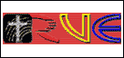 Radio Vocea Evangheliei Oradea